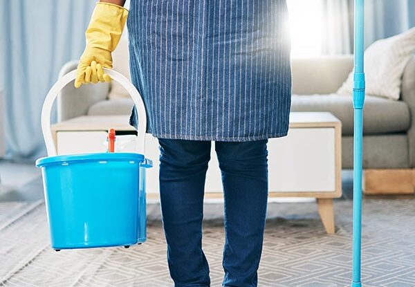 Standard Weekly & Biweekly Cleaning